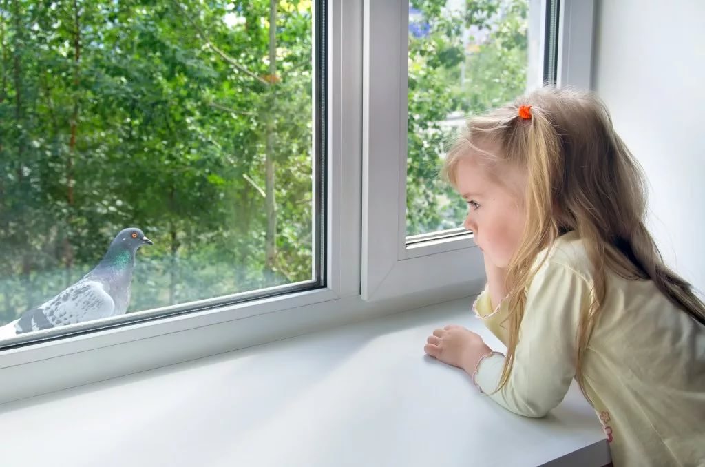 PVC windows have become a synonymous of functionality and comfort, so nowadays they are placed in different premises. The right decision is the installation of plastic windows in places where our children spend most of the day, in kindergartens and schools. When we bring the child to kindergarten, we want to have a safe, comfortable and cozy environment. Windows play a significant role in creating of such conditions.