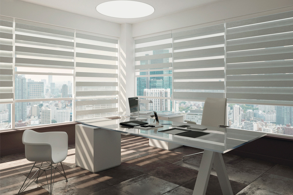Sun protection and decor for office windows.