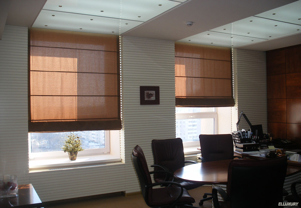 Productivity of employees largely depends on many things, even on the proper choice of window decorations. They allow you to adjust the amount of daylight and affect the indoor climate in general. 