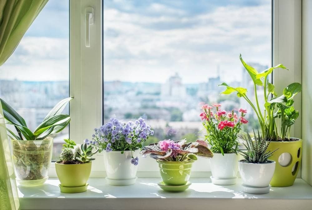 PVC windows and potted flowers are perfect combination