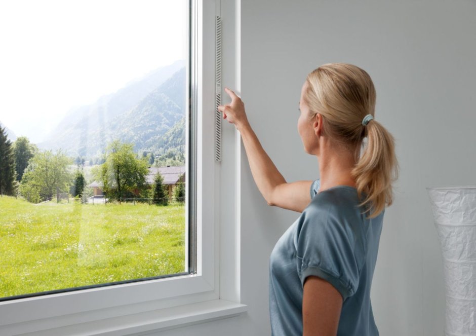 Windows providing ideal home microclimate