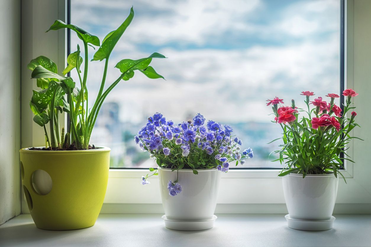 Flowers are ideal companions for PVC windows