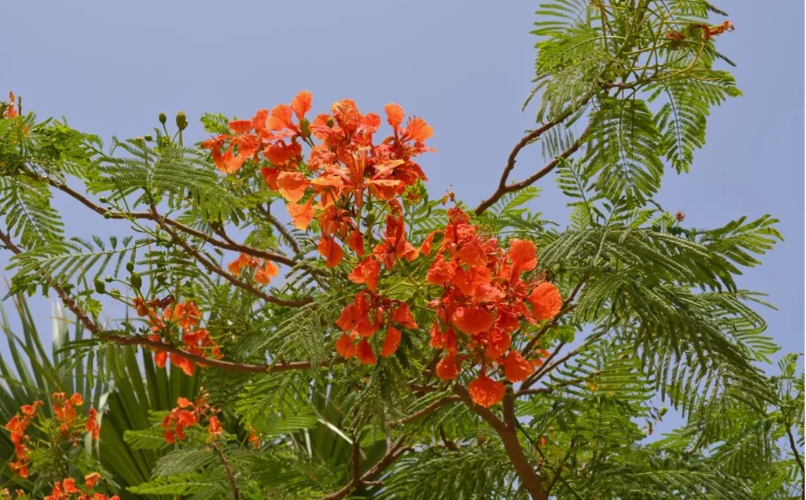 Happy Sham el Nassim!